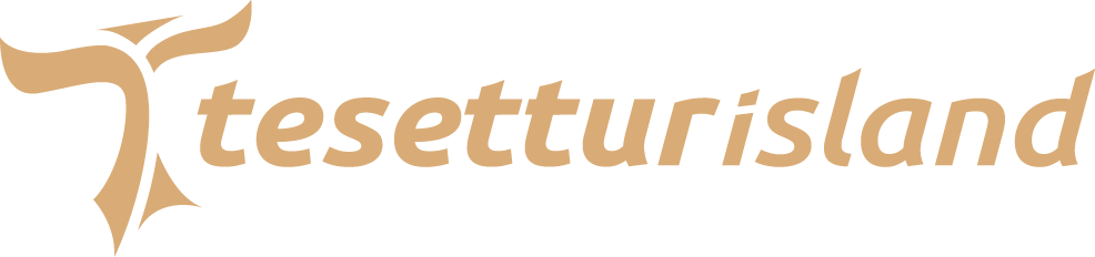 E-Ticaret Teması